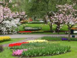 spring garden