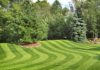best time to grass seed your garden