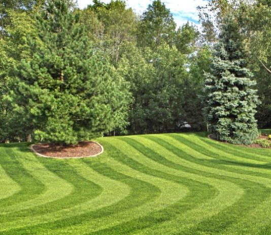best time to grass seed your garden