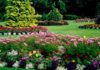 How much does it cost to get your garden landscaped