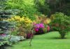 new garden