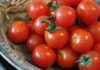 Growing tomatoes in containers