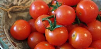 Growing tomatoes in containers