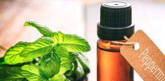 Peppermint essential oil